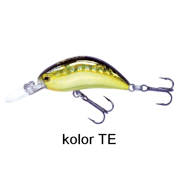 46-1TX-S40-TE